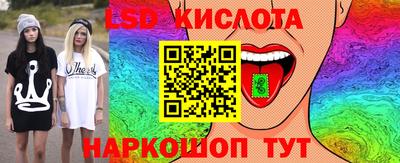 a pvp Новодвинск