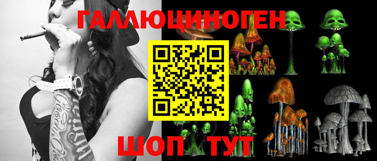 Псилоцибиновые грибы мицелий Соль-Илецк
