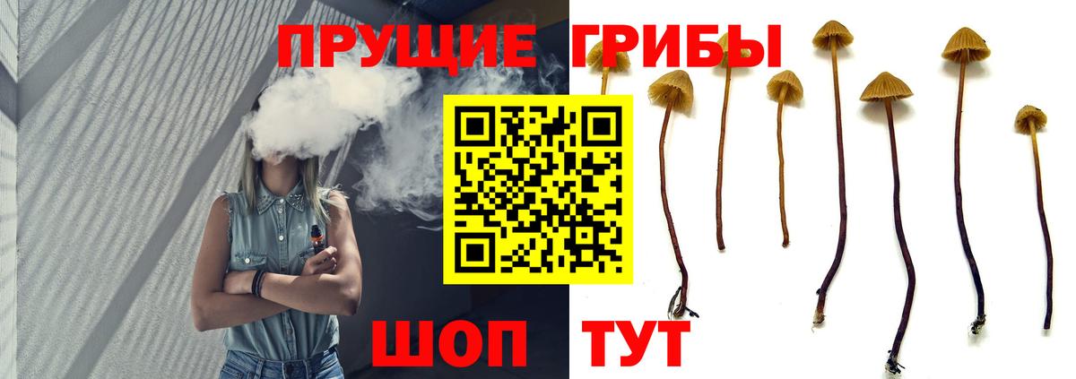 Псилоцибиновые грибы Cubensis  Галлюциногенные грибы MAGIC MUSHROOMS  Вход с VPN  Соль-Илецк 